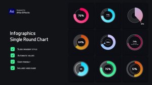 Videohive Single Round Chart Infographic Infographics template preview