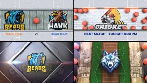Videohive Cricket Bumper 4 (4-Bumpers) Logo Stings template preview