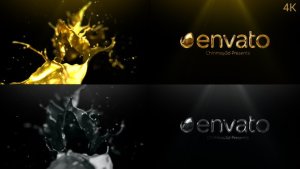Videohive Golden & Silver Liquid Logo Reveal Logo Stings template preview