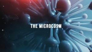 Videohive The Microcosm Openers template preview