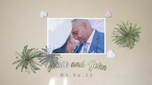 Videohive Wedding Slideshow 46208772 Openers template preview