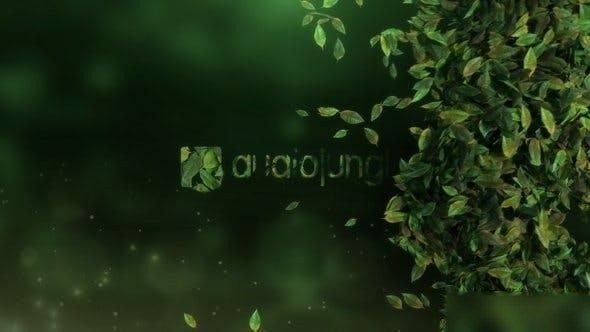 Videohive Elegant Leaves Logo Reveal V3 Logo Stings template preview