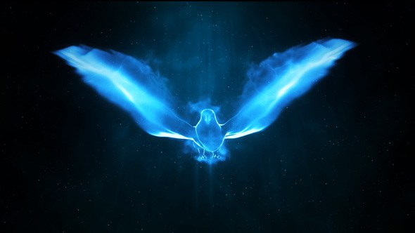 Videohive Magic Bird Logo Logo Stings template preview
