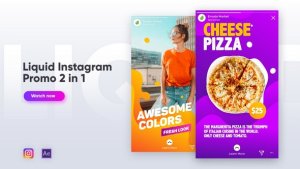 Liquid Instagram Promo 2 in 1 Video Displays template preview