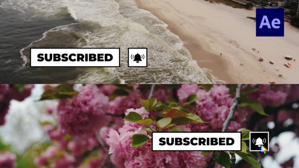 Videohive Social Media Buttons Lower Thirds /Ae Elements template preview