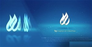 Videohive Minimal Corporate Logo 16607232 Logo Stings template preview