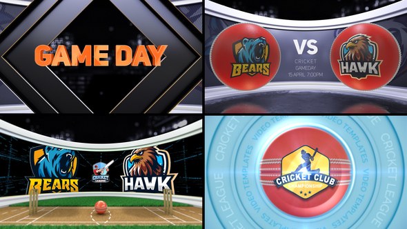 Videohive Cricket VS 2 57736241 Logo Stings template preview
