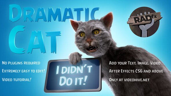 Videohive Funny Dramatic Cat Openers template preview