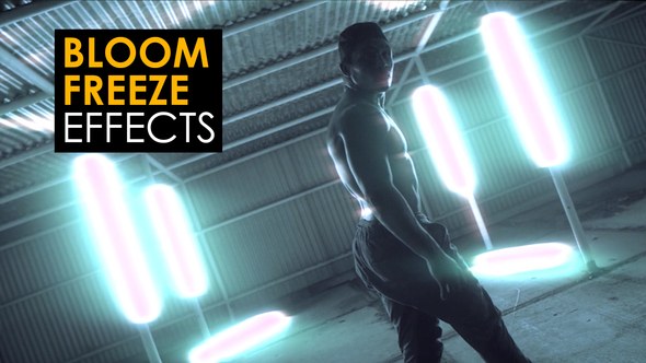 Videohive Bloom Freeze Effects | After Effects Elements template preview