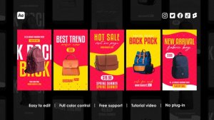 Videohive E-Commerce Instagram Reels 44944011 Product Promo template preview
