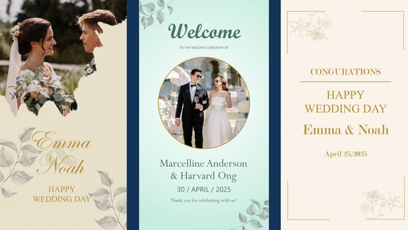 Videohive Wedding Story - Reels Video Displays template preview