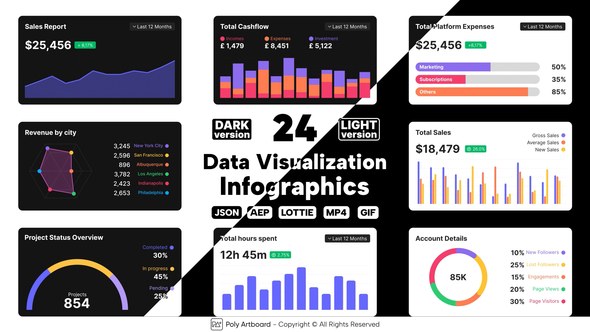 Videohive Data Visualization Lottie Infographics Infographics template preview