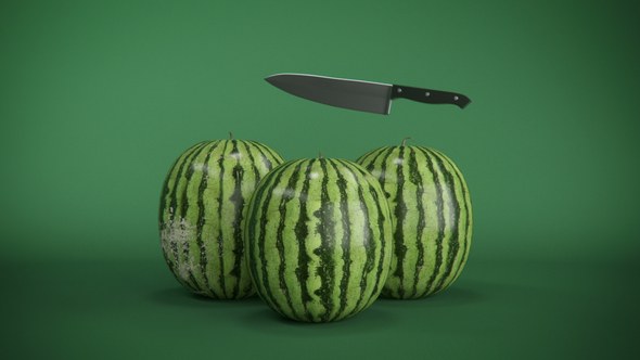 Videohive Watermelon Logo Reveal Logo Stings template preview