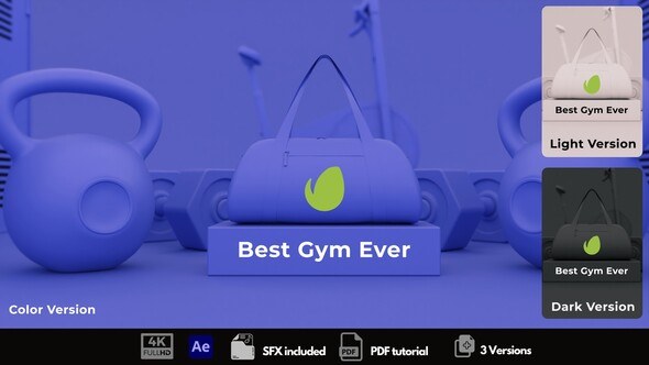 Videohive Fitness Logo Reveal Logo Stings template preview