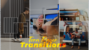 Videohive Verical Torn Paper Transitions Elements template preview
