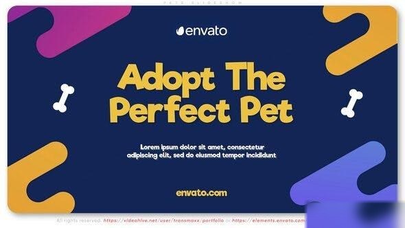 Videohive Pets Slideshow 43783982 Openers template preview