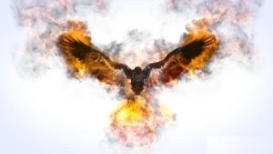 Videohive Flaming Eagle Logo Reveal Logo Stings template preview