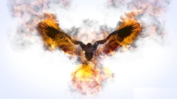 Videohive Flaming Eagle Logo Reveal Logo Stings template preview
