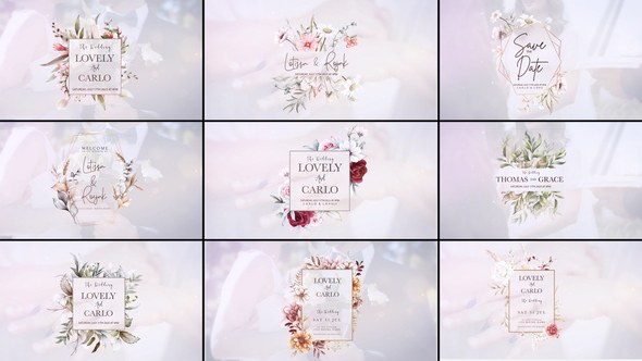 Videohive Wedding titles 52884323 Video Displays template preview