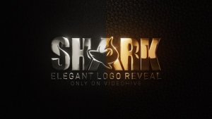 Videohive Elegant Logo 2 Logo Stings template preview