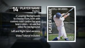 Card Fall Video Displays template preview
