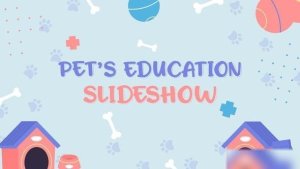 Videohive Pets Education Slideshow Broadcast-packages template preview