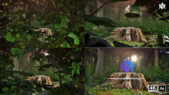 Videohive Nature Logo Reveal 44157637 Video Displays template preview