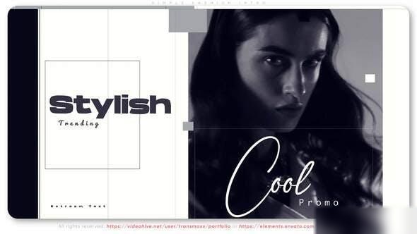 Videohive Simple Fashion Intro Openers template preview