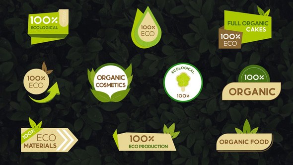 Videohive Ecological Titles || After Effects Titles template preview
