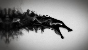 Videohive Ink Dragon Reveal Logo Stings template preview