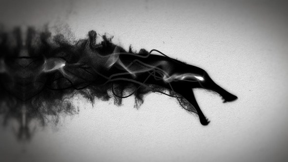 Videohive Ink Dragon Reveal Logo Stings template preview