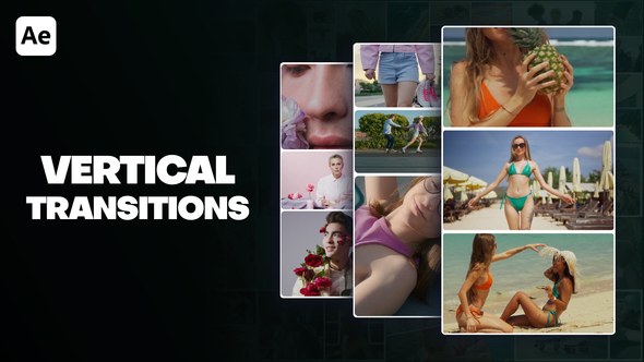 Videohive Elegant Vertical Transition Elements template preview