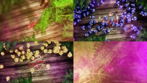 Videohive Ornament Glow Unveil Logo Stings template preview