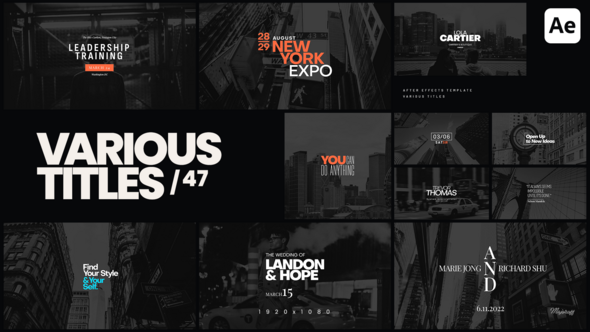 Videohive Various Titles 47 Titles template preview