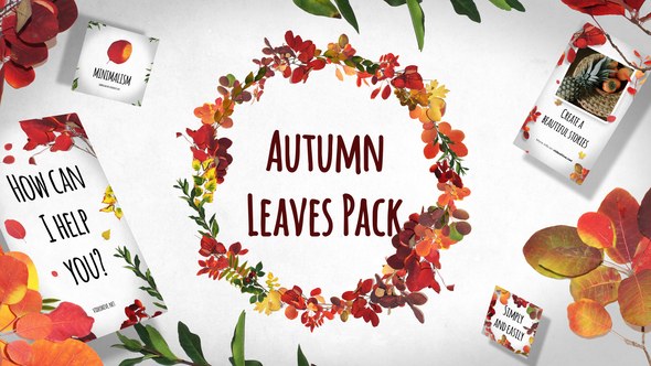 Videohive Autumn Leaves Pack Elements template preview
