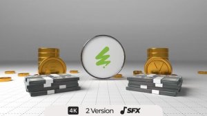Videohive Money Reveal 55134744 Logo Stings template preview