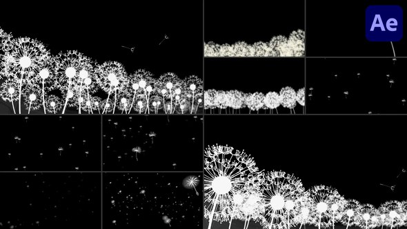 Videohive Dandelion Breeze | After Effects Elements template preview