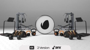 Videohive Gym Logo Logo Stings template preview