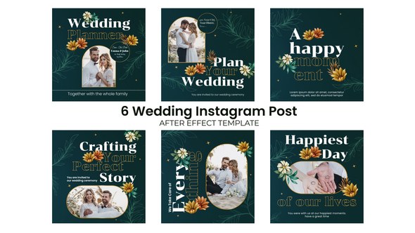 Videohive Wedding Day Instagram Post Openers template preview
