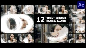 Videohive Frost Brush Painting Transitions | After Effects Elements template preview