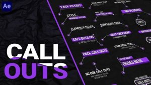 Videohive Call Outs pack Infographics template preview