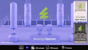 Videohive Boxing Opene Openers template preview
