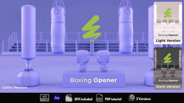Videohive Boxing Opene Openers template preview