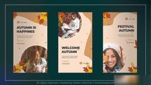 Videohive Autumn Instagram Story Openers template preview