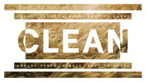Clean Typography Premiere Pro template preview