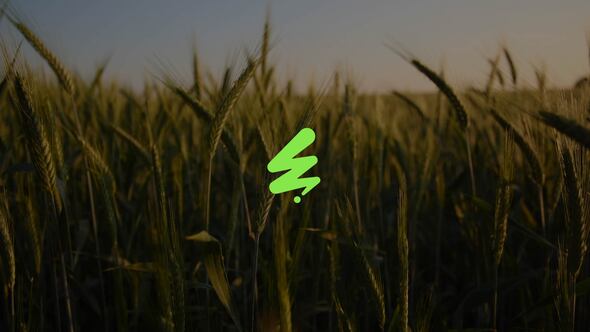 Videohive Creative Titles | AE 53797988 Titles template preview