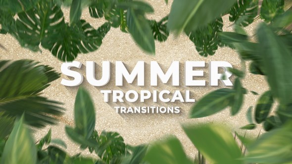 Summer Travel Tropical Palm Leaf Transitions Elements template preview