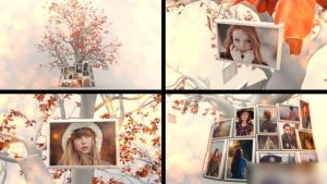 Videohive Memory Tree Slideshow Video Displays template preview