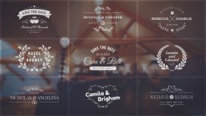 Videohive Wedding Titles 53052168 Titles template preview