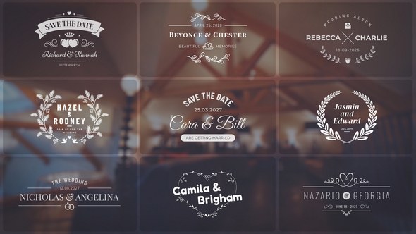Videohive Wedding Titles 53052168 Titles template preview